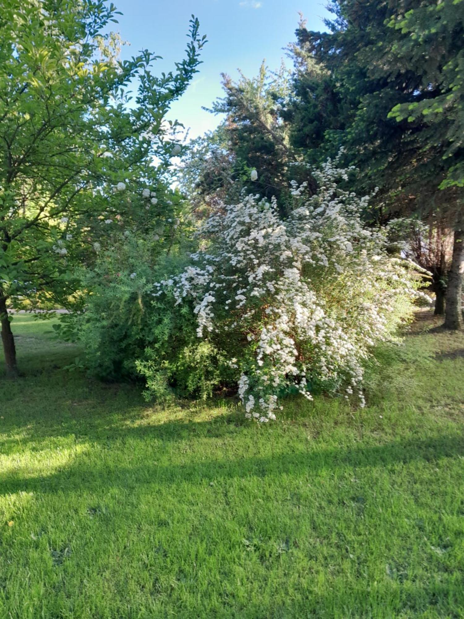 Domek Pod Brzozami Z Jacuzzi ,Grillem I Tarasem Przemysl Bagian luar foto