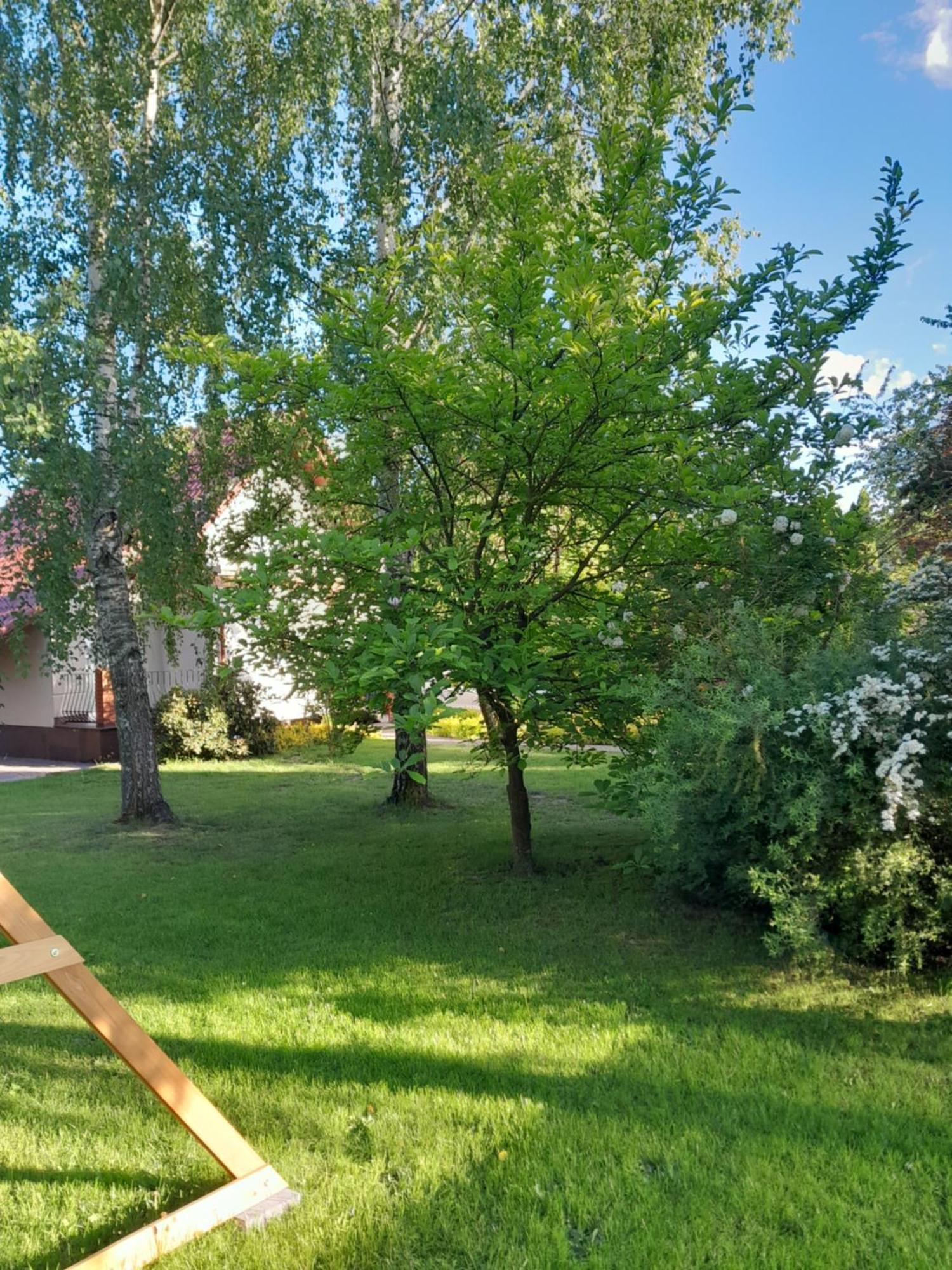 Domek Pod Brzozami Z Jacuzzi ,Grillem I Tarasem Przemysl Bagian luar foto